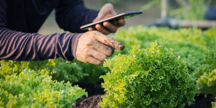 Pentingnya Penerapan Teknologi IoT Dalam Kehidupan Sehari-Hari